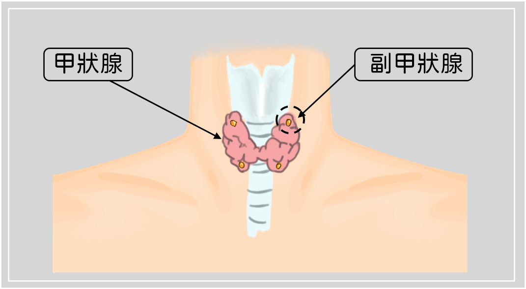 a2a698bfa1702cc11a57c537e53fa305.png