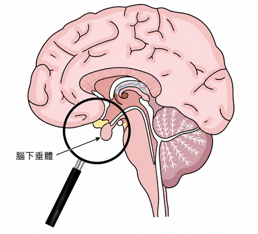 9079e8711238c09beec817d25fbb809c.png